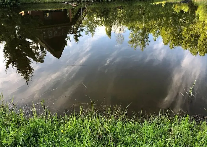 Holidayhouse With Sauna And Pond Leesoja Puhkemaja Holiday home *